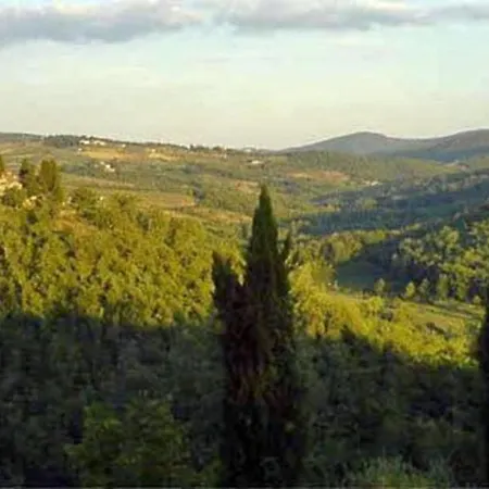 Le Corti